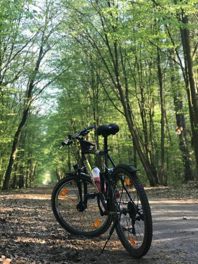 "Casa20200" 2 X Apartments Je 150Qm Fuer Business, Familien, Gruppen, Handwerker 15Min Von Berlin, Erdbeerhof, Outlet B5, 5Min Vom See Falkensee !! 2 Apartment Each 150Qm For Business , Families 15Min From Berlin!! Eksteriør billede